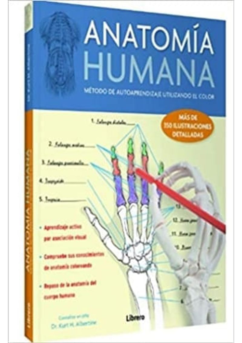 ANATOMIA-HUMANA--APRENDER-CON-EL-COLOR-