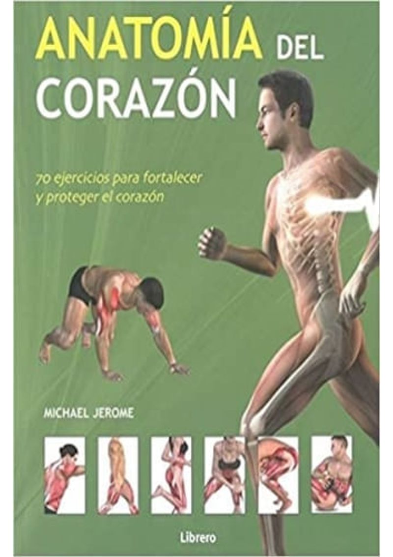 ANATOMIA-DEL-CORAZON