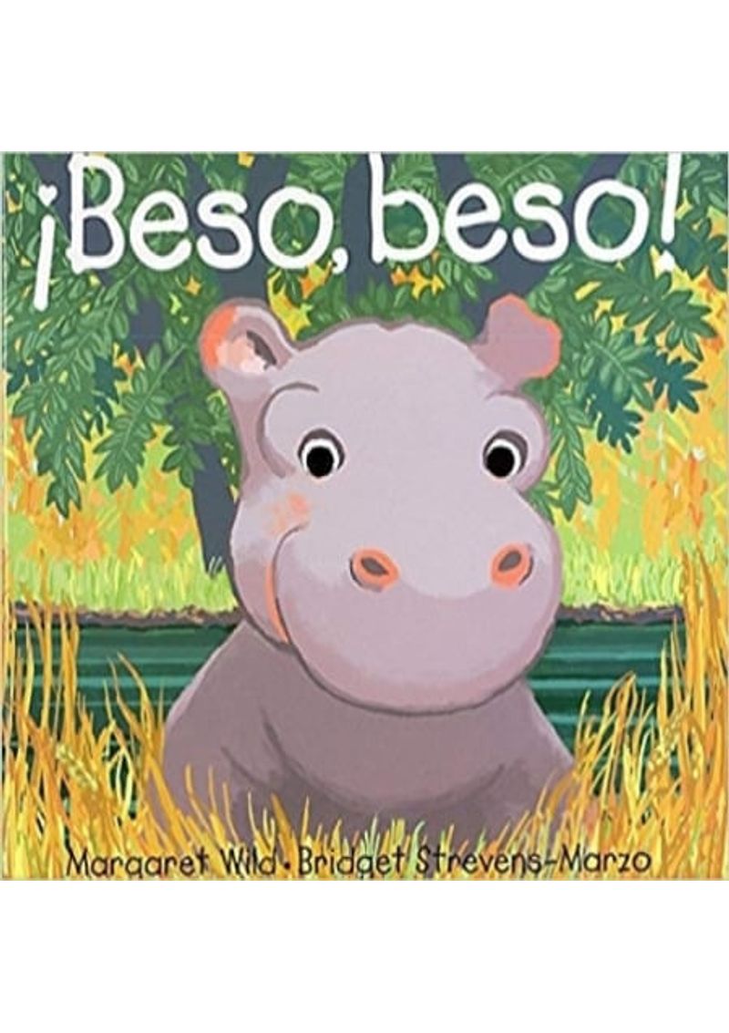BESO-BESO-