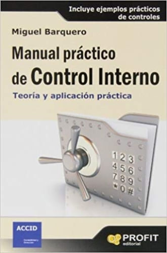 MANUAL PRACTICO DE CONTROL INTERNO