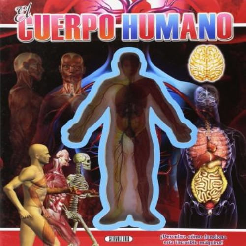 MIRA DENTRO - CUERPO HUMANO