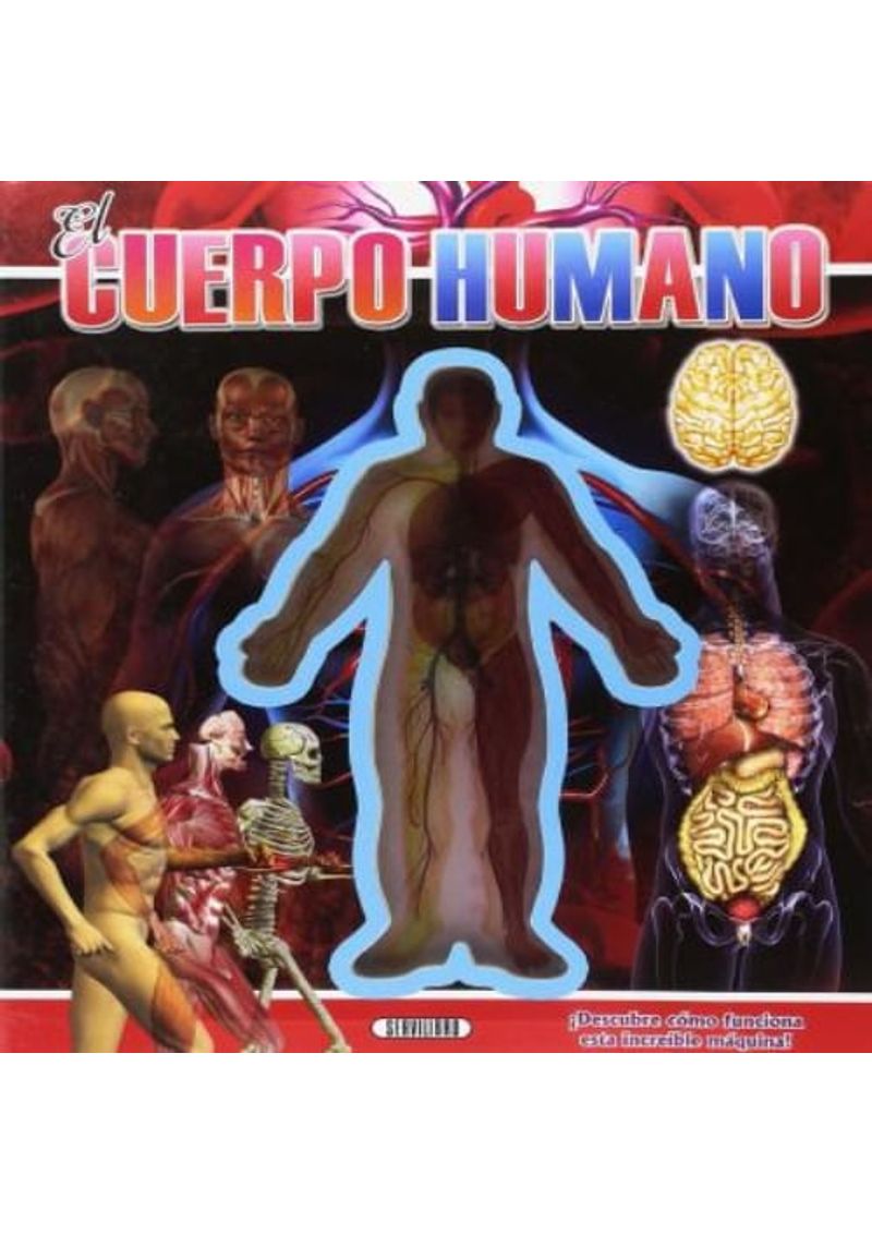 MIRA-DENTRO---CUERPO-HUMANO