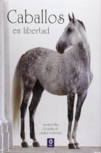 CABALLOS EN LIBERTAD