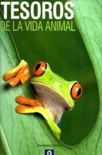 TESOROS-DE-LA-VIDA-ANIMAL