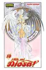 AH-MI-DIOSA--16