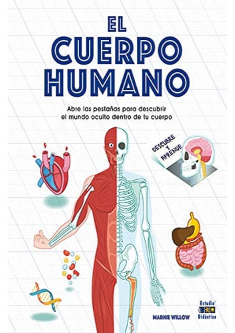EL-CUERPO-HUMANO