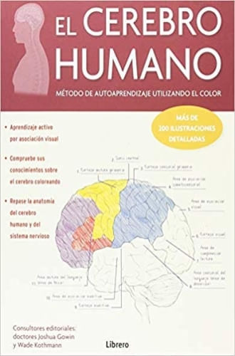 EL CEREBRO HUMANO