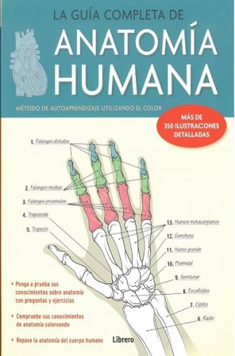 ANATOMIA HUMANA, LA GUIA COMPLETA