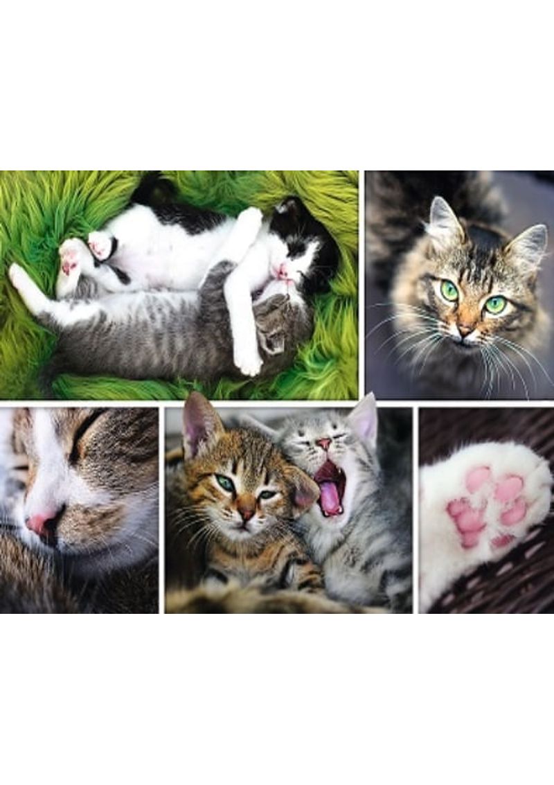 ROMPECABEZAS-1500-PZAS---COSAS-DE-GATO