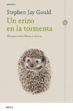 UN-ERIZO-EN-LA-TORMENTA