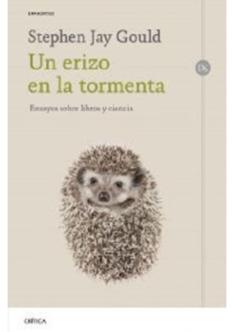 UN-ERIZO-EN-LA-TORMENTA