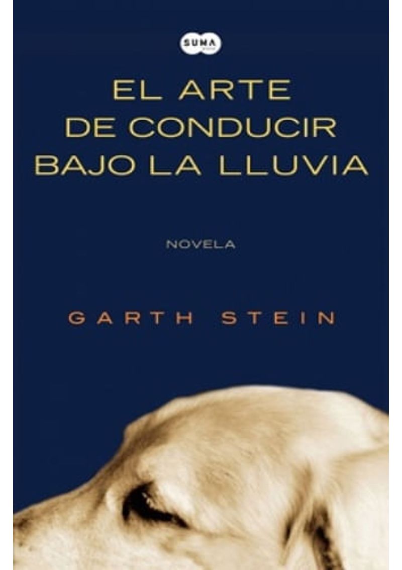 EL-ARTE-DE-CONDUCIR-BAJO-LA-LLUVIA