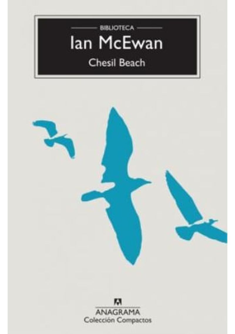 CHESIL-BEACH