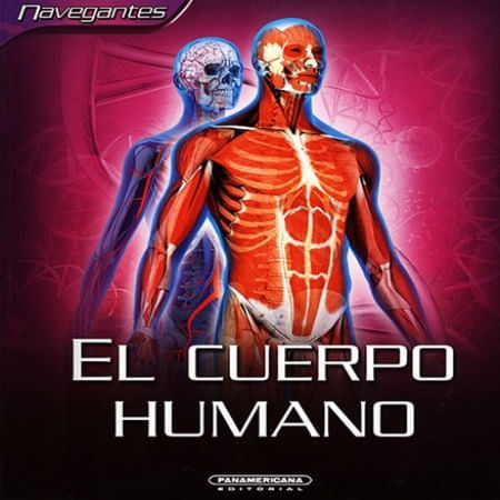 EL CUERPO HUMANO