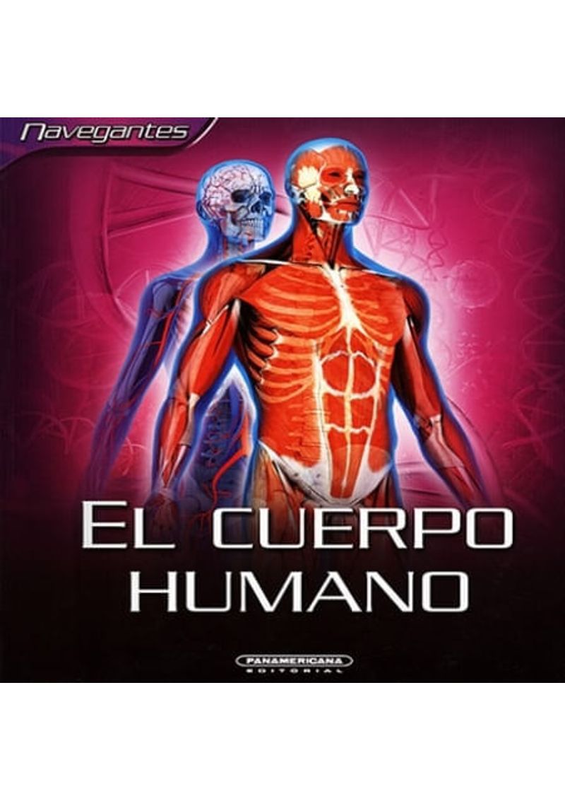 EL-CUERPO-HUMANO