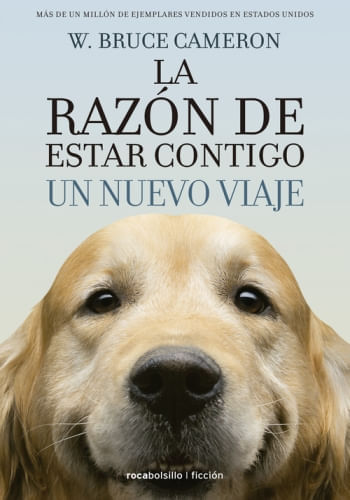 LA RAZÓN DE ESTAR CONTIGO 2. UN NUEVO VIAJE