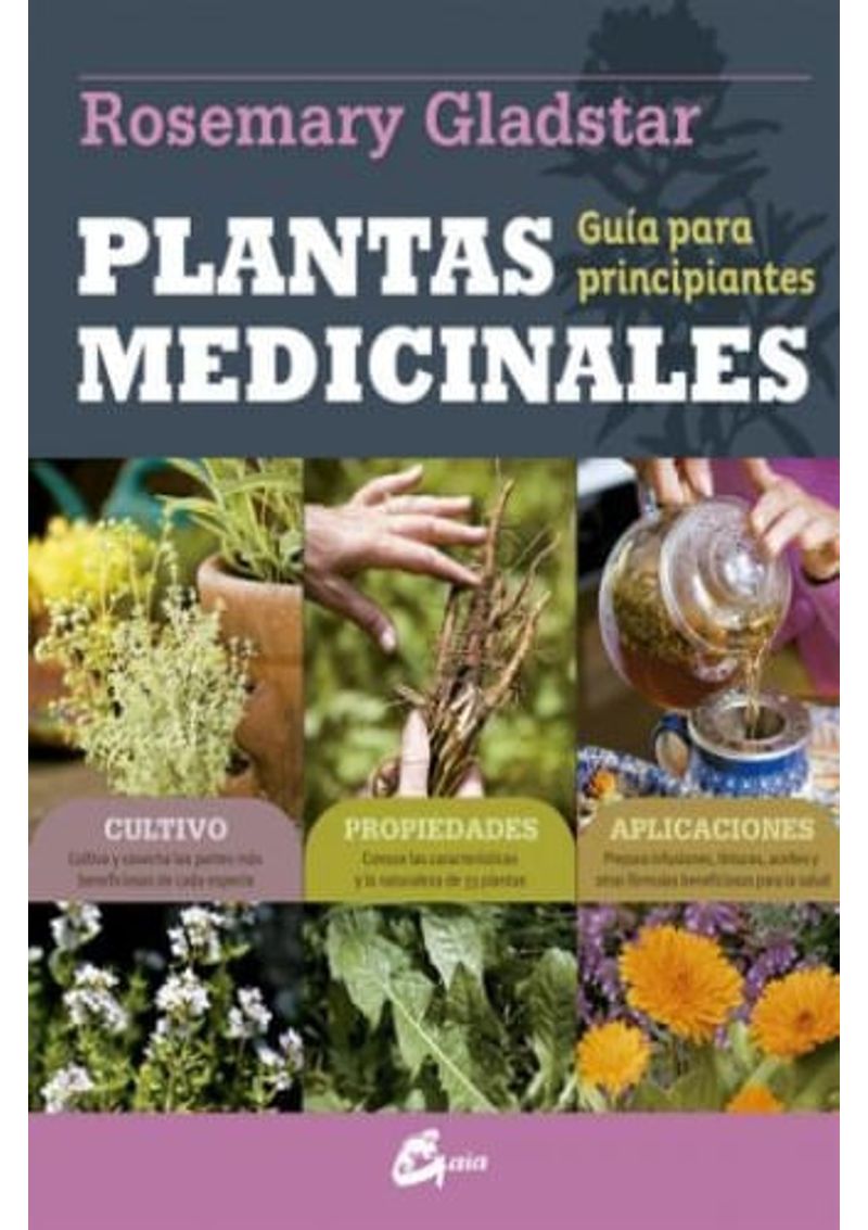 PLANTAS-MEDICINALES