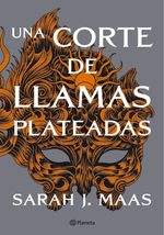 UNA-CORTE-DE-LLAMAS-PLATEADAS