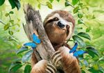 ROMPECABEZAS-500-DON-T-HURRY-BE-HAPPY