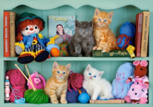 ROMPECABEZAS 500 KITTEN SHELVES