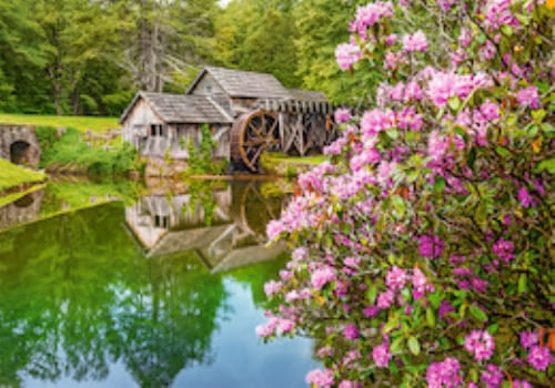 ROMPECABEZAS 500 MILL BY THE POND