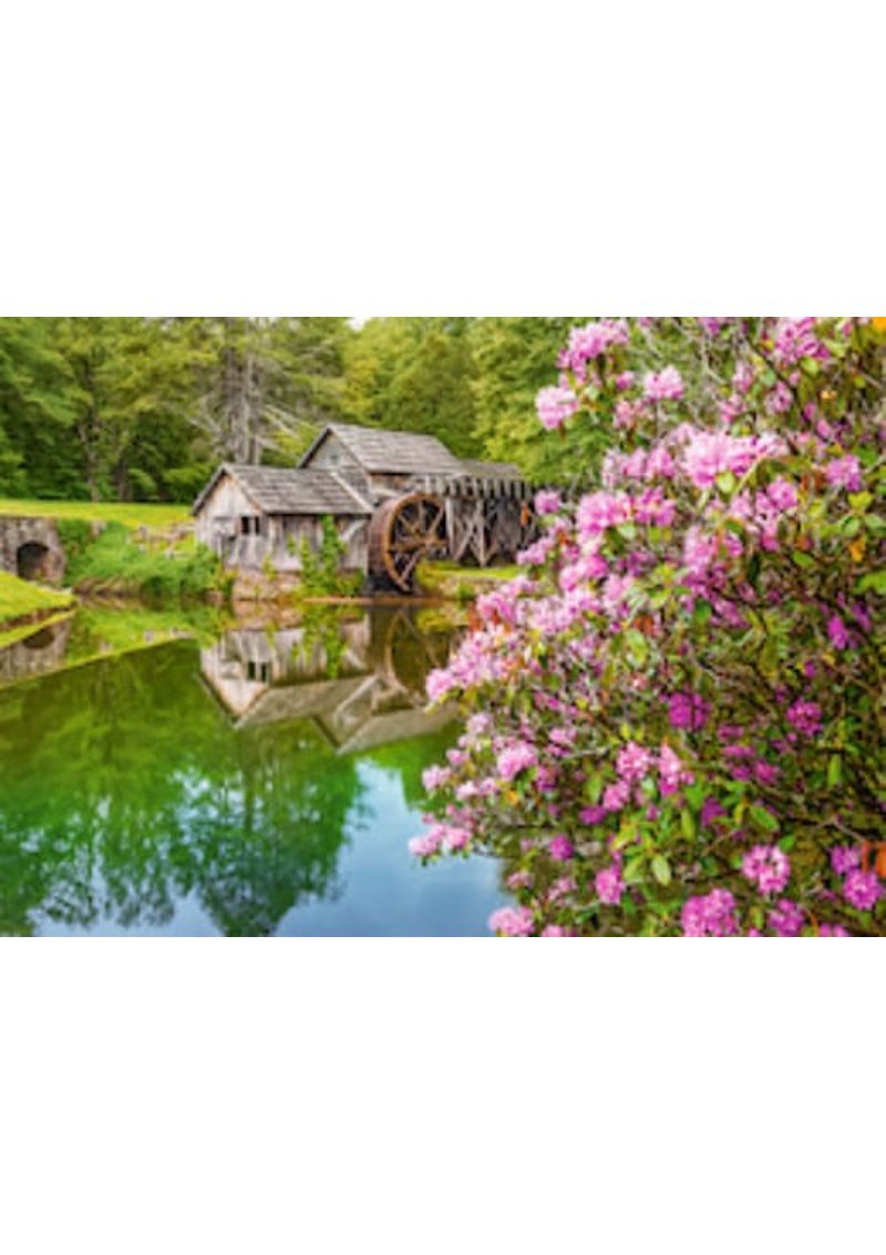 ROMPECABEZAS-500-MILL-BY-THE-POND