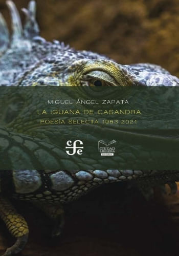 LA IGUANA DE CASANDRA