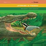 AYUDAME-SI-PUEDES-