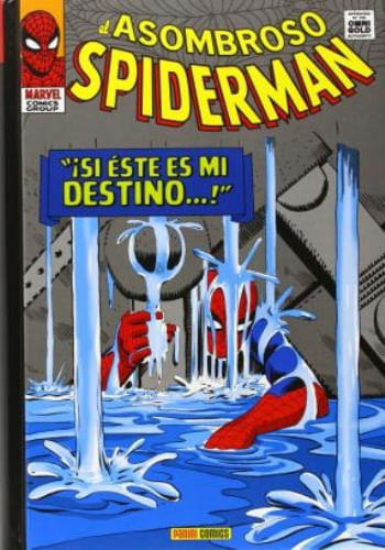 EL ASOMBROSO SPIDERMAN - SÍ ESTE ES MI DESTINO