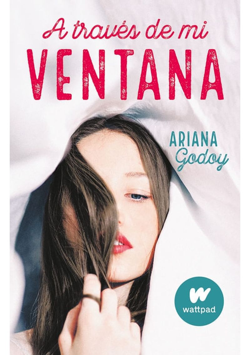A-TRAVES-DE-MI-VENTANA