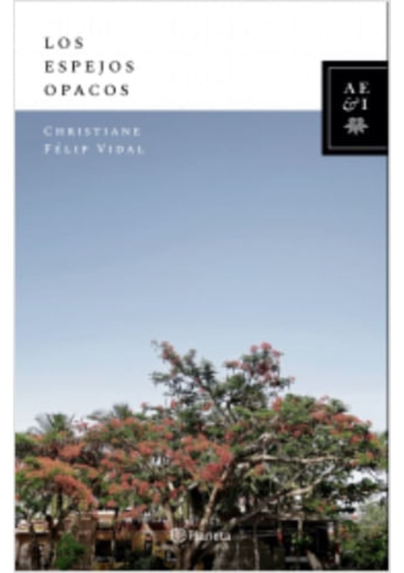 LOS-ESPEJOS-OPACOS