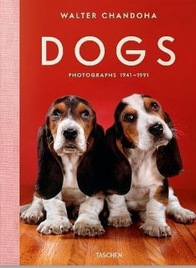 DOGS - PHOTOGRAPHS 1941-1991