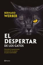 EL-DESPERTAR-DE-LOS-GATOS