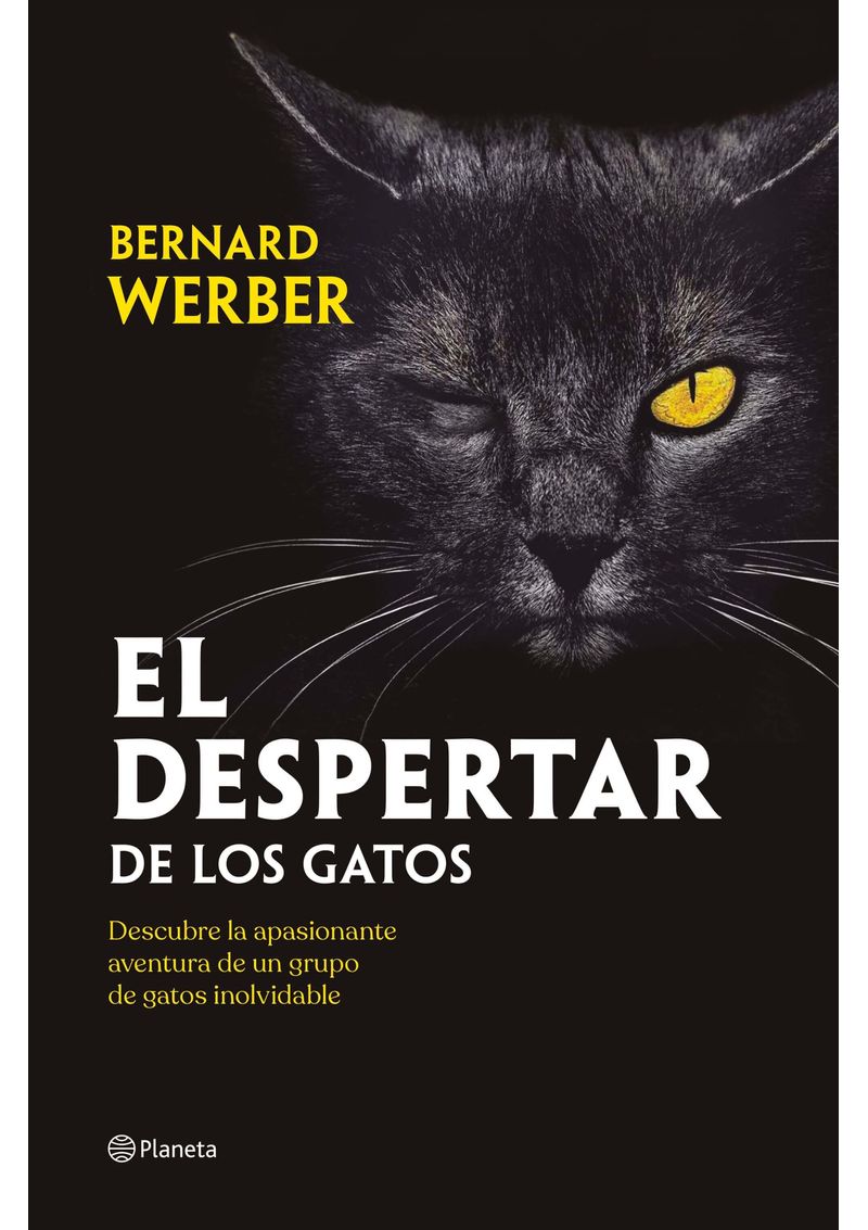 EL-DESPERTAR-DE-LOS-GATOS