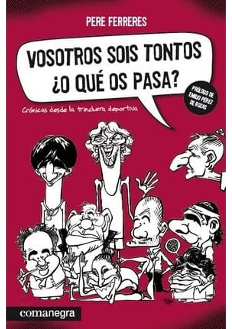 VOSOTROS-SOIS-TONTOS-O-QUE-OS-PASA-