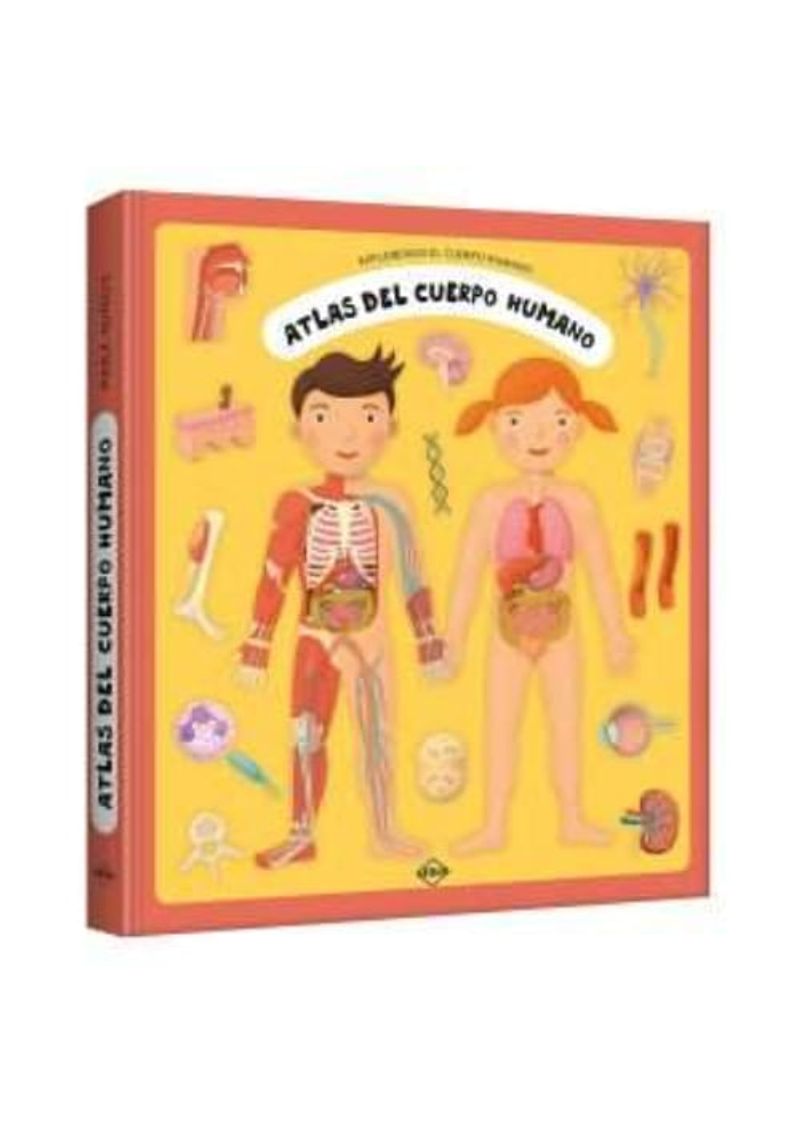 ATLAS-DEL-CUERPO-HUMANO