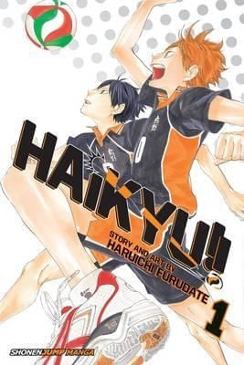 HAIKYU!!, VOL. 1