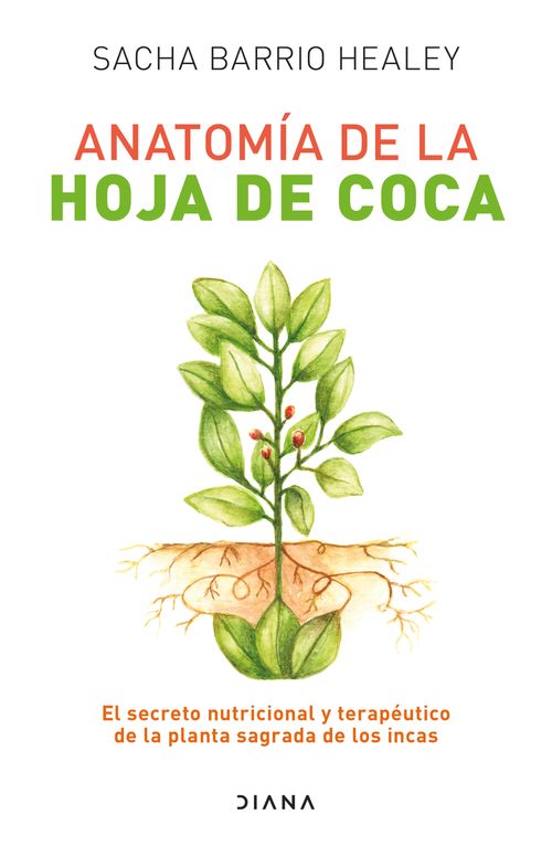 ANATOMÍA DE LA HOJA DE COCA