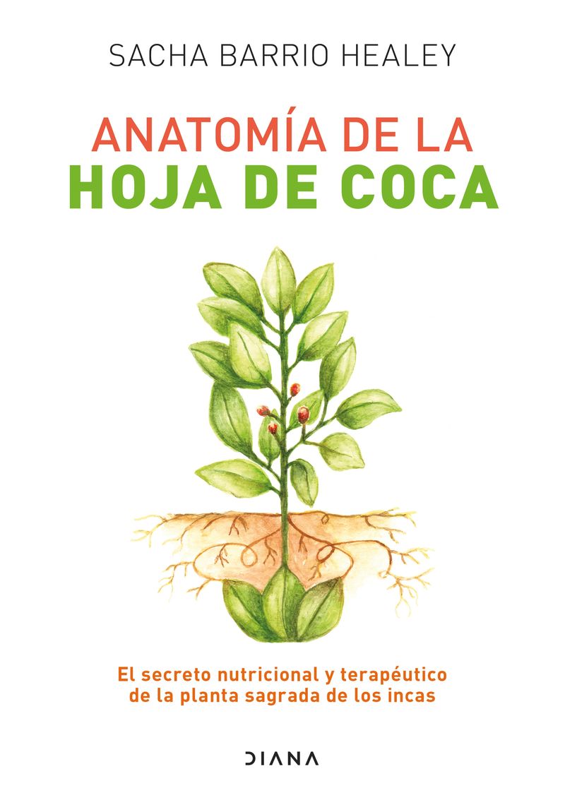 ANATOMIA-DE-LA-HOJA-DE-COCA