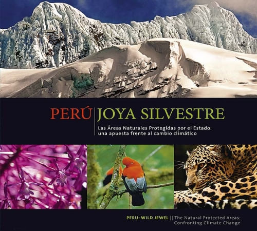 PERU JOYA SILVESTRE