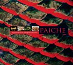 PAICHE-EL-GIGANTE-DE-LOS-RIOS