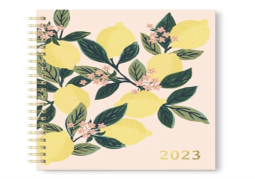 AGENDA 2023 ANILLADA XL SEM VISTA 17M - LEMON TREE