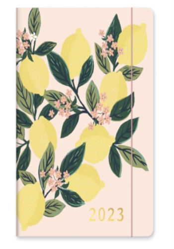 AGENDA 2023 MEDIANA MENSUAL 17M - LEMON TREE