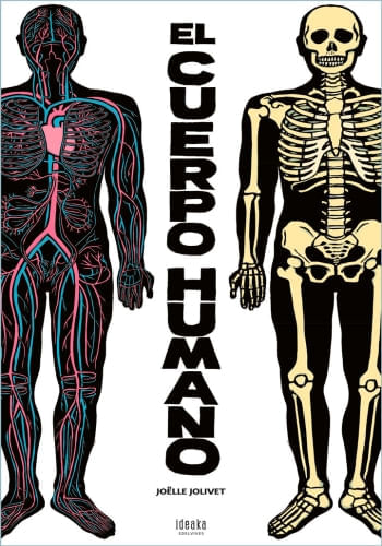 EL CUERPO HUMANO