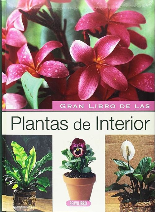 EL GRAN LIBRO DE LAS PLANTAS DE INTERIOR