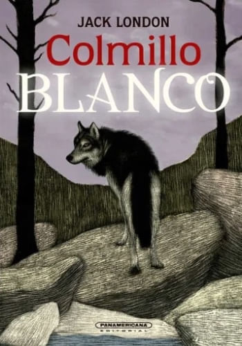 COLMILLO BLANCO