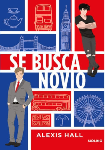 SE BUSCA NOVIO