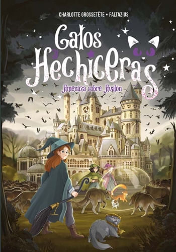GATOS Y HECHICERAS VOL. II