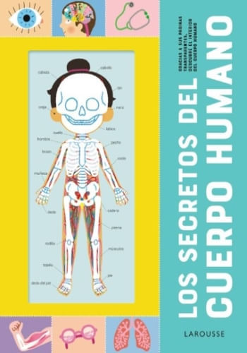 LOS SECRETOS DEL CUERPO HUMANO