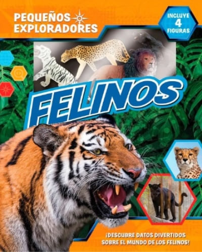 PEQUEÑOS EXPLORADORES - GATOS SALVAJES